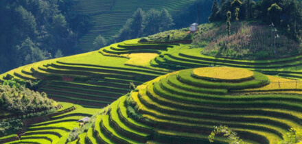 Requisitos de visa para los titulares de pasaporte de España que viajan a Vietnam