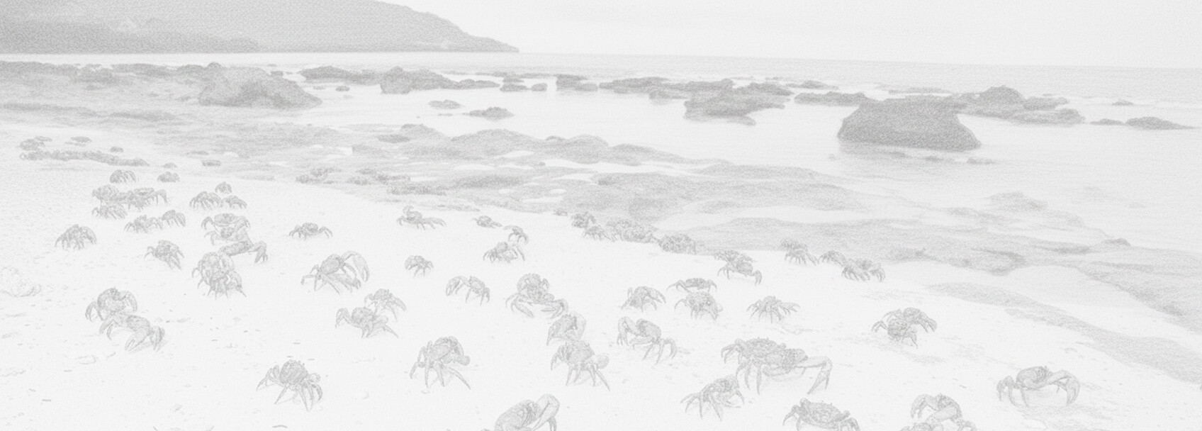 Solicitud de visa y requisitos Isla de Navidad